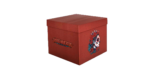 Event Case | Dia De Muertos