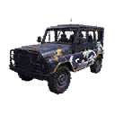 Cars | Golden Crane